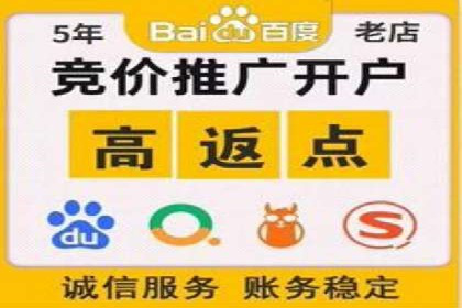 金融行业SEM服务的创新应用与效果